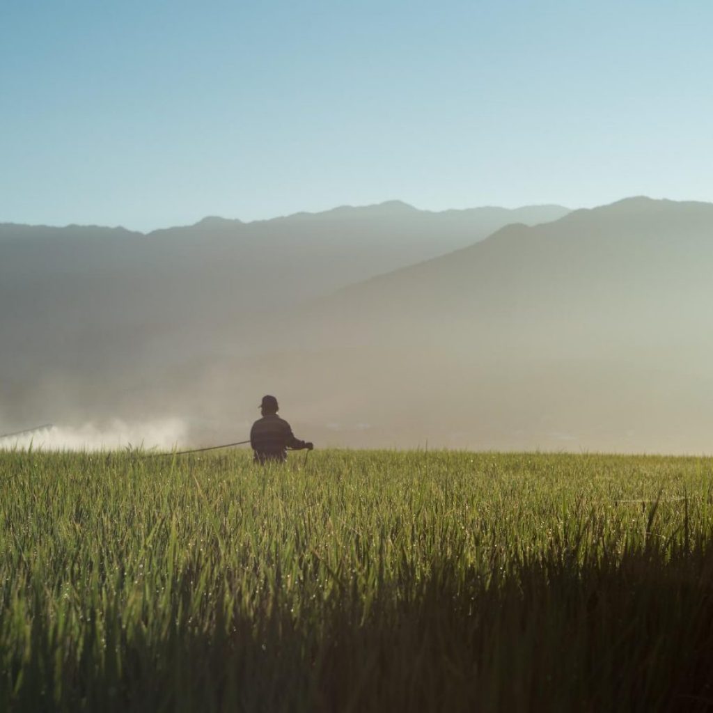 person in field spraying