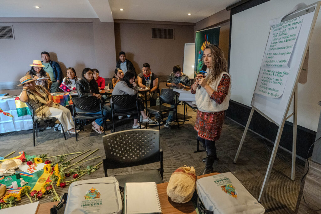 Latin American Indigenous Legal Defense Training Program