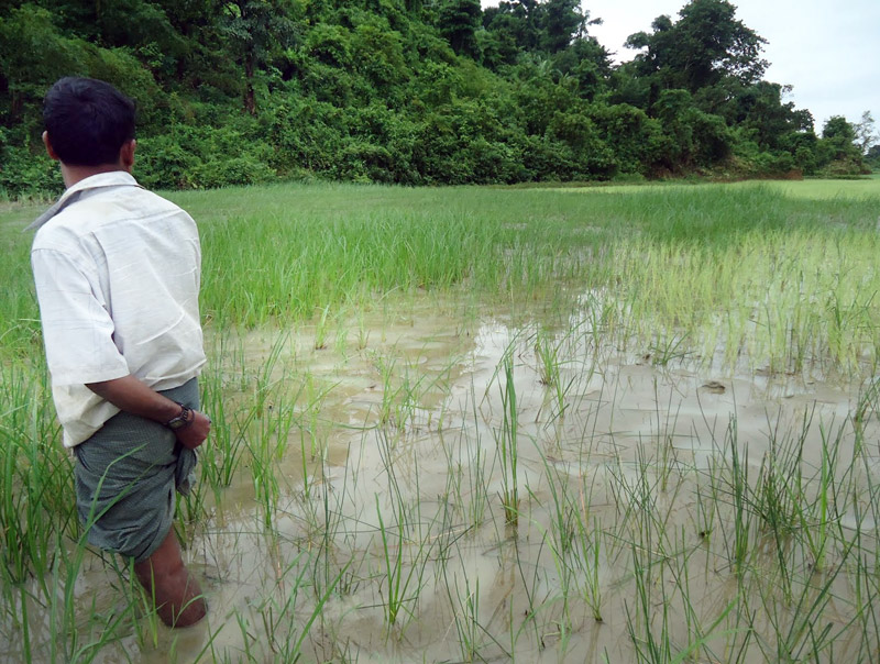 Fields covered by construction runoff in Mala Kyun village